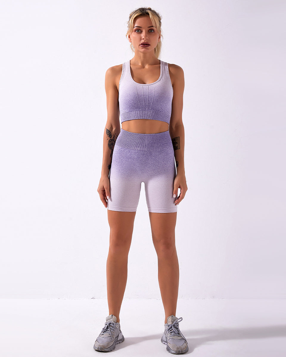 Calico Ombre Sports Bra - Purple