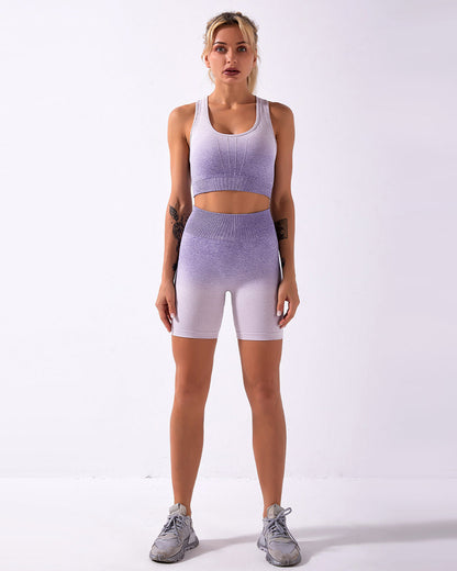 Calico Ombre Sports Bra - Purple