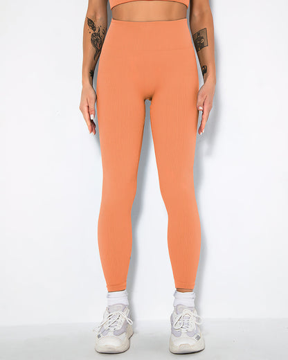 Nieve Ribbed Athleisure Leggings