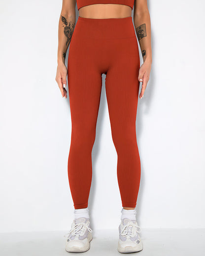 Nieve Ribbed Athleisure Leggings