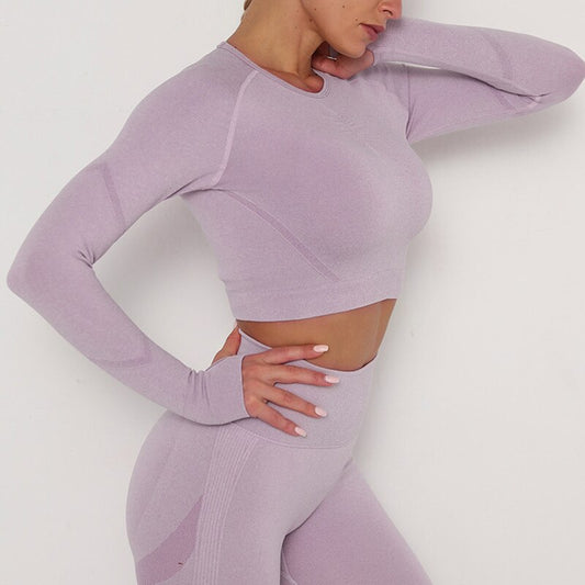 Seamless Long Sleved Fitness Top - Light Purple
